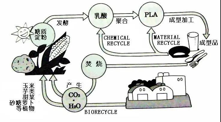 可生物降解環保塑料可以回收再利用嗎？(圖4)